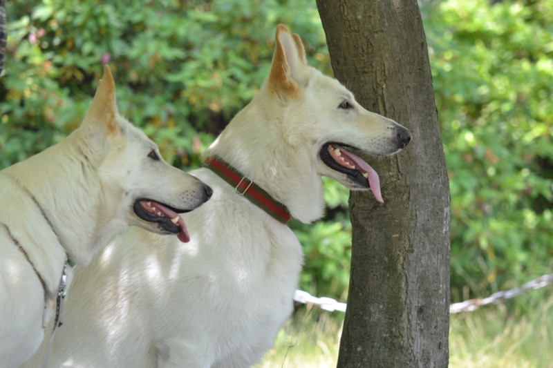 f:id:reeyan:20120527184919j:image f:id:reeyan:20120527184919j:image