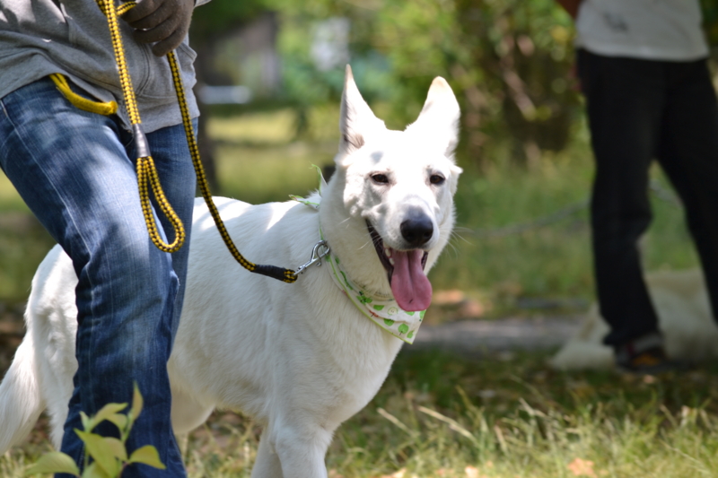 f:id:reeyan:20120527184938j:image f:id:reeyan:20120527184938j:image