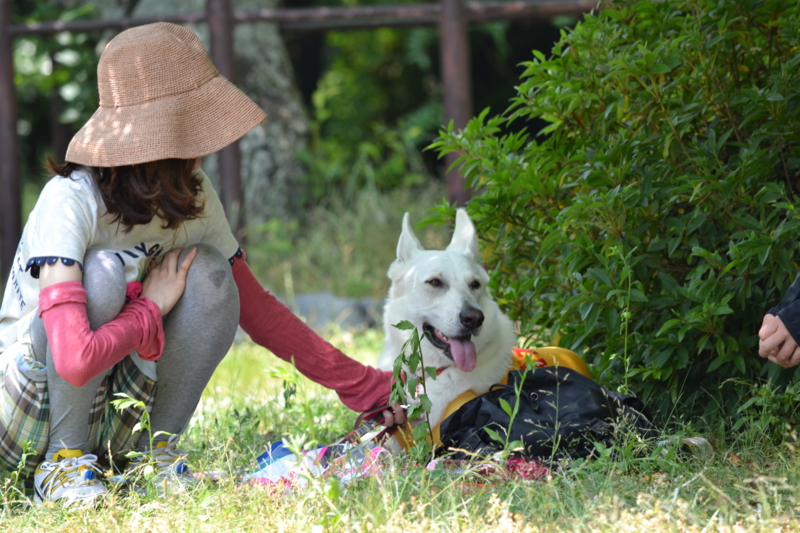 f:id:reeyan:20120527185015j:image f:id:reeyan:20120527185015j:image