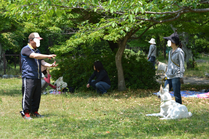 f:id:reeyan:20120527185034j:image f:id:reeyan:20120527185034j:image