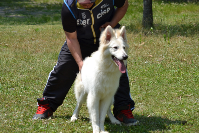 f:id:reeyan:20120527190332j:image f:id:reeyan:20120527190332j:image