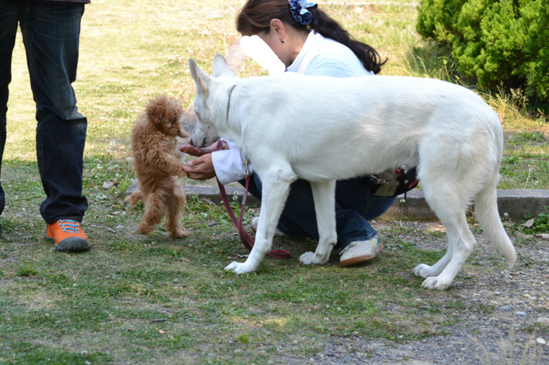 f:id:reeyan:20120527190350j:image f:id:reeyan:20120527190350j:image