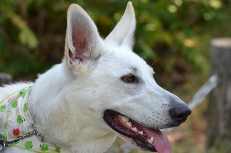 f:id:reeyan:20120527190444j:image f:id:reeyan:20120527190444j:image