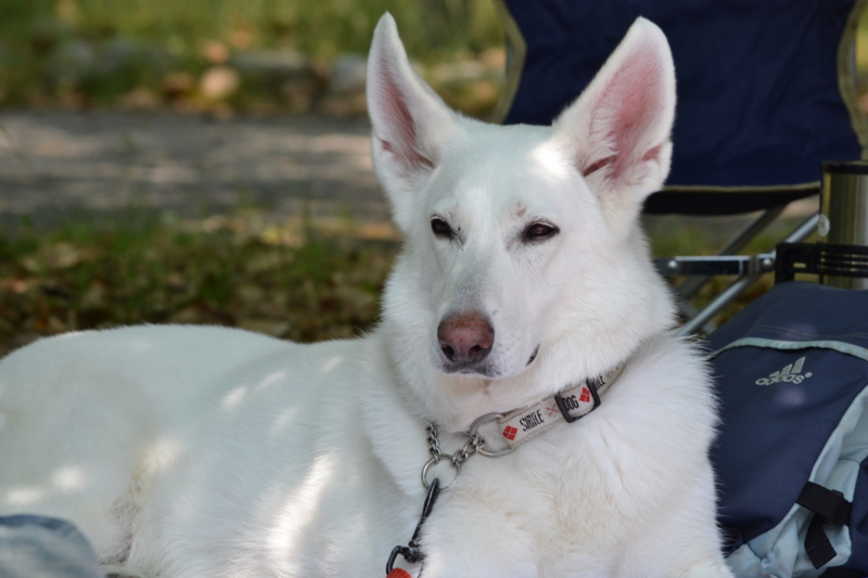 f:id:reeyan:20120527190503j:image f:id:reeyan:20120527190503j:image