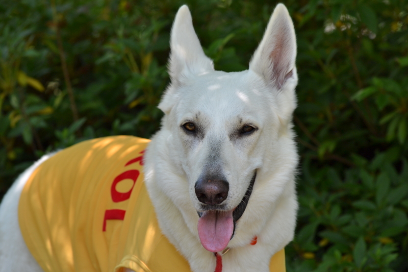 f:id:reeyan:20120527190521j:image f:id:reeyan:20120527190521j:image