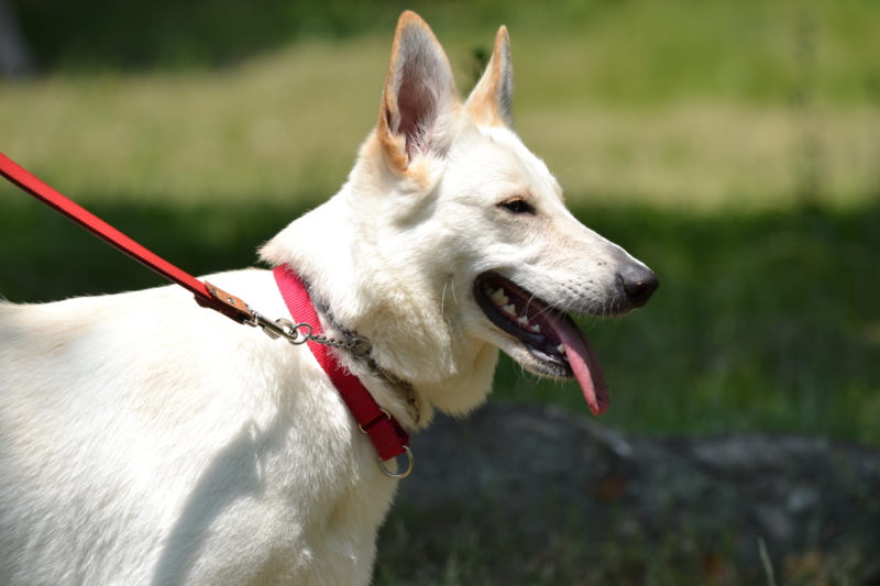 f:id:reeyan:20120527190539j:image f:id:reeyan:20120527190539j:image