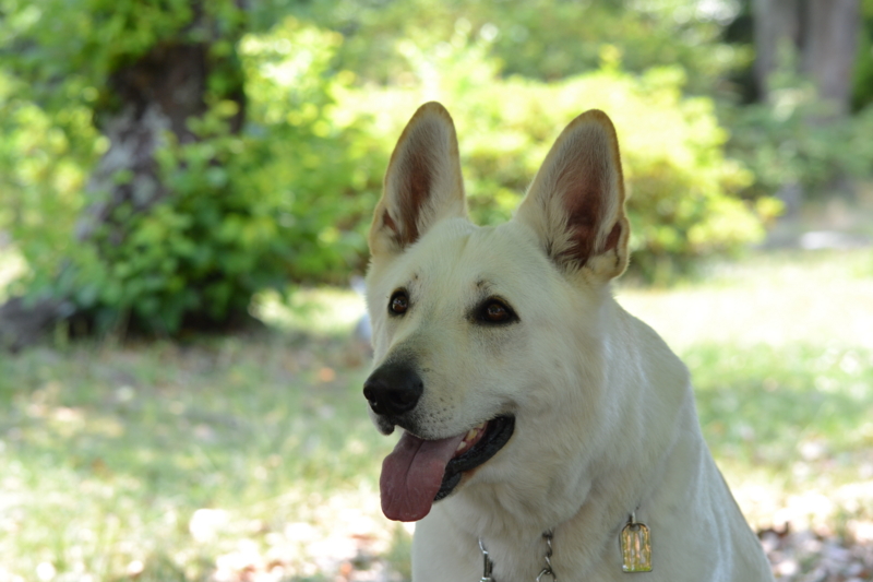 f:id:reeyan:20120527190557j:image f:id:reeyan:20120527190557j:image