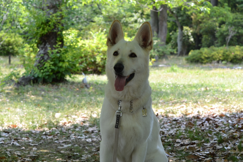 f:id:reeyan:20120527190616j:image f:id:reeyan:20120527190616j:image