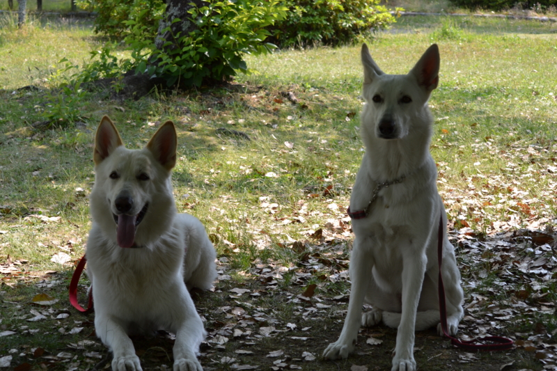 f:id:reeyan:20120527190737j:image f:id:reeyan:20120527190737j:image