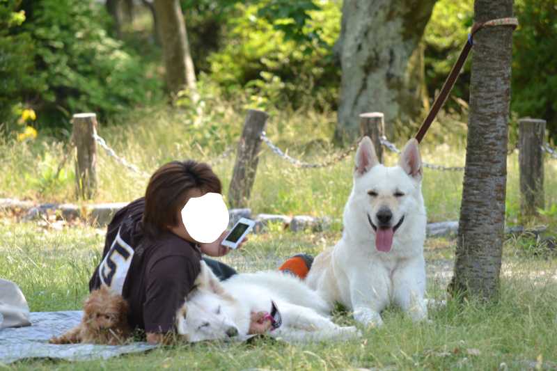 f:id:reeyan:20120527190756j:image f:id:reeyan:20120527190756j:image