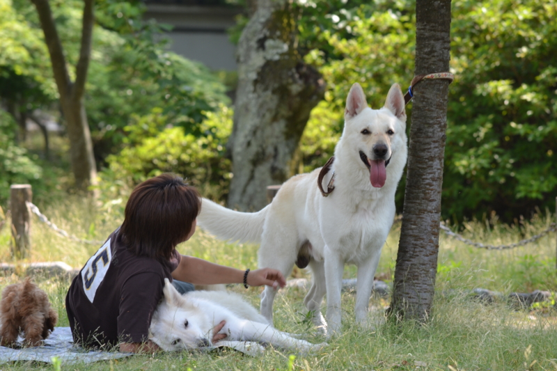 f:id:reeyan:20120527190850j:image f:id:reeyan:20120527190850j:image