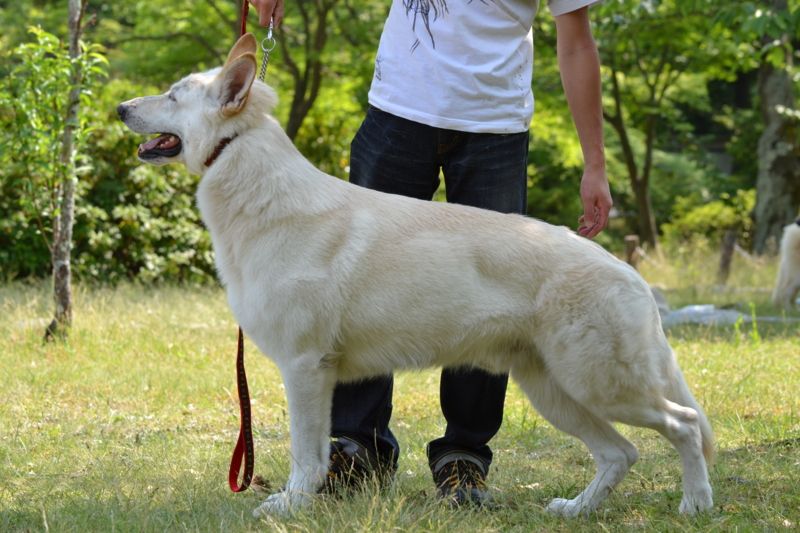 f:id:reeyan:20120527190909j:image f:id:reeyan:20120527190909j:image