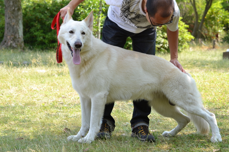 f:id:reeyan:20120527190927j:image f:id:reeyan:20120527190927j:image