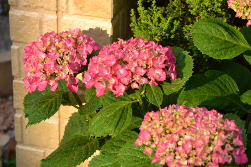 f:id:reeyan:20120607181437j:image f:id:reeyan:20120607181437j:image