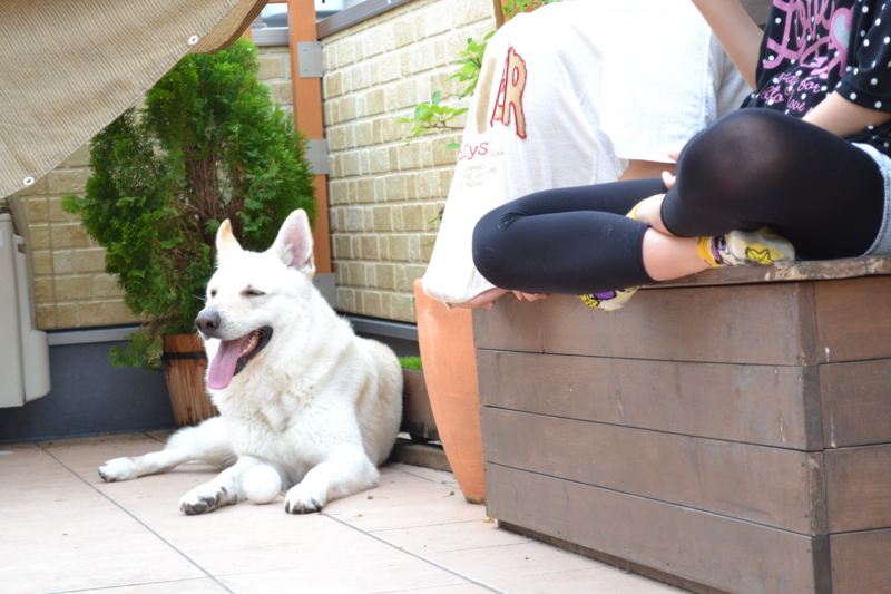 f:id:reeyan:20120609160127j:image f:id:reeyan:20120609160127j:image