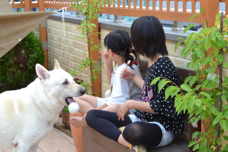 f:id:reeyan:20120609160145j:image f:id:reeyan:20120609160145j:image