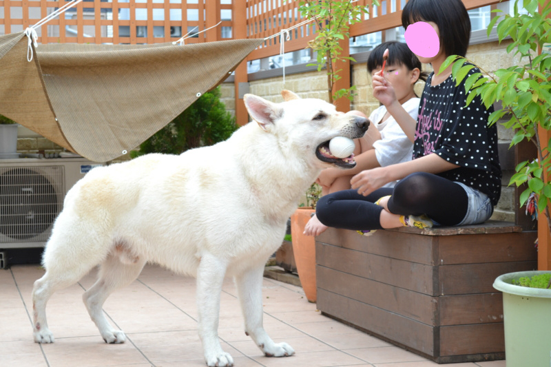 f:id:reeyan:20120609160204j:image f:id:reeyan:20120609160204j:image