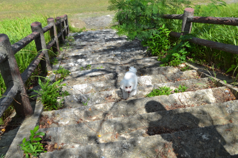 f:id:reeyan:20120822083911j:image f:id:reeyan:20120822083911j:image