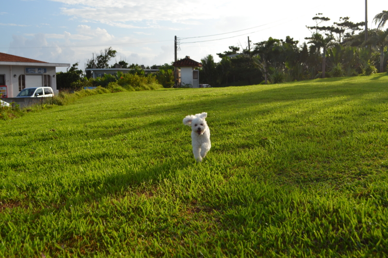 f:id:reeyan:20120822083930j:image f:id:reeyan:20120822083930j:image