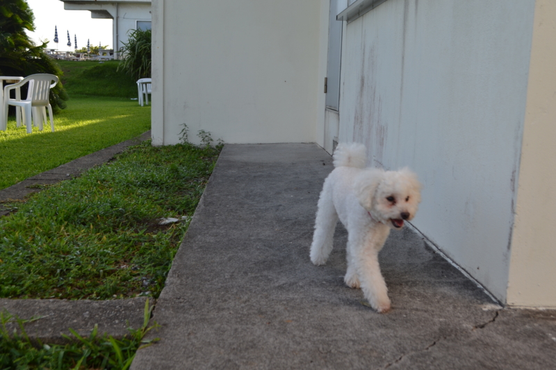 f:id:reeyan:20120822083948j:image f:id:reeyan:20120822083948j:image