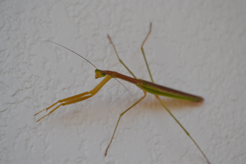 f:id:reeyan:20120822084043j:image f:id:reeyan:20120822084043j:image