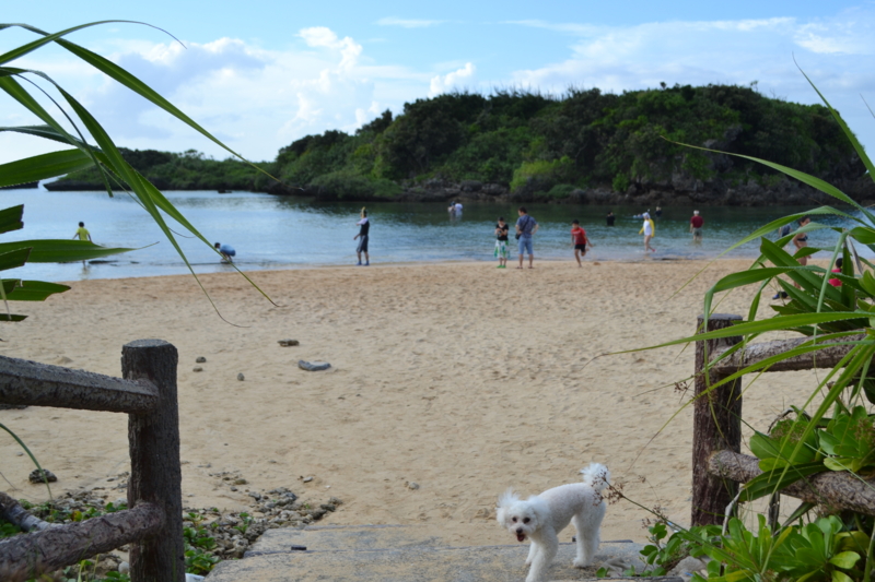 f:id:reeyan:20120822084137j:image f:id:reeyan:20120822084137j:image