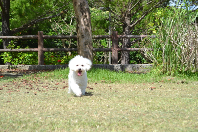 f:id:reeyan:20120822085045j:image f:id:reeyan:20120822085045j:image