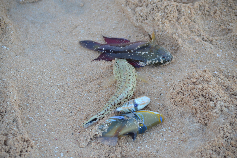 f:id:reeyan:20120822085834j:image f:id:reeyan:20120822085834j:image