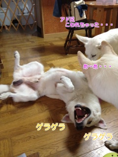 f:id:reeyan:20120823141719j:image f:id:reeyan:20120823141719j:image