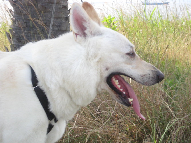 f:id:reeyan:20120901203216j:image f:id:reeyan:20120901203216j:image