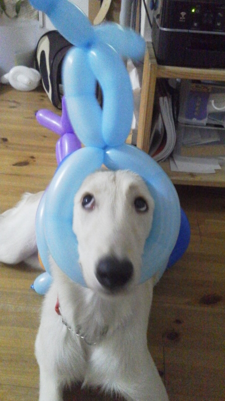 f:id:reeyan:20120901203219j:image f:id:reeyan:20120901203219j:image