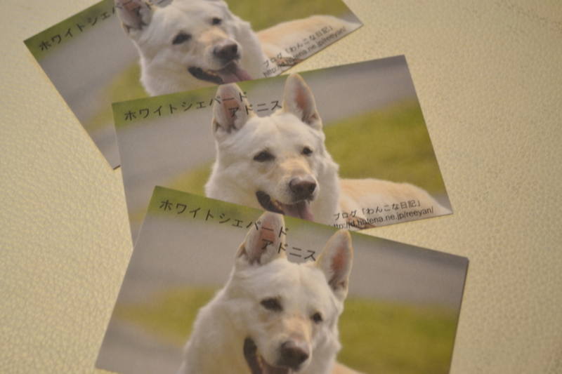 f:id:reeyan:20120908195321j:image