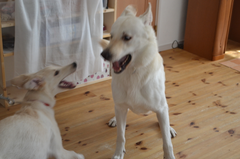 f:id:reeyan:20120919065108j:image f:id:reeyan:20120919065108j:image