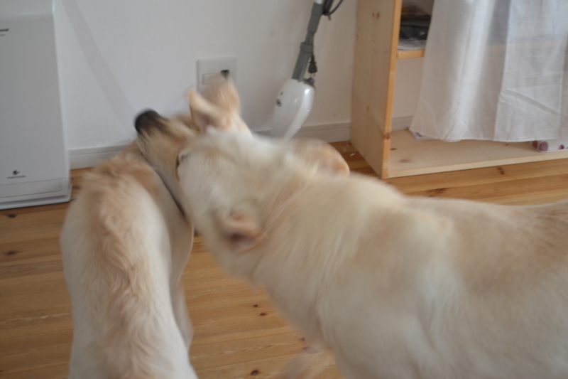 f:id:reeyan:20120919065126j:image f:id:reeyan:20120919065126j:image