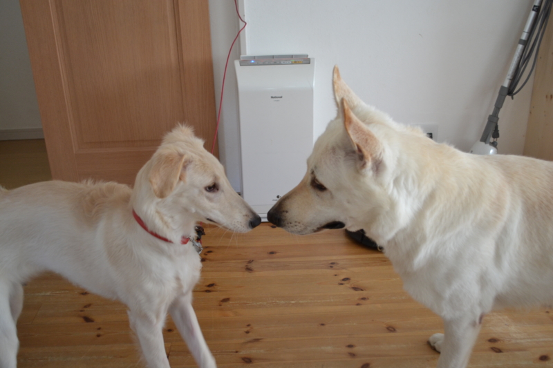 f:id:reeyan:20120919065314j:image f:id:reeyan:20120919065314j:image