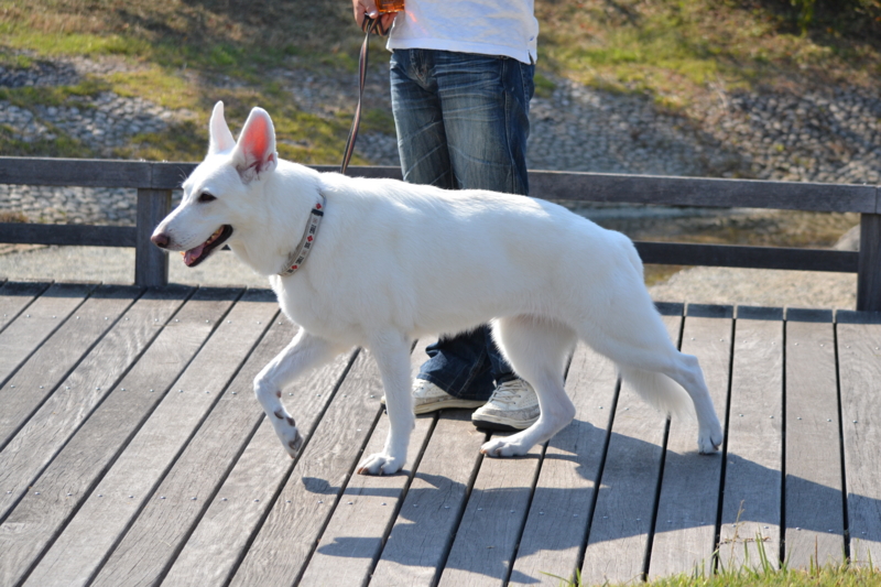 f:id:reeyan:20121022070431j:image f:id:reeyan:20121022070431j:image
