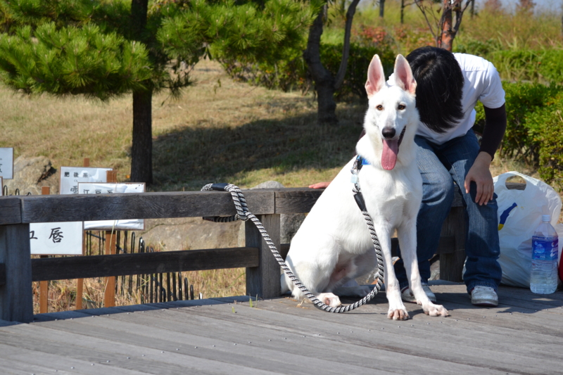 f:id:reeyan:20121022070832j:image f:id:reeyan:20121022070832j:image