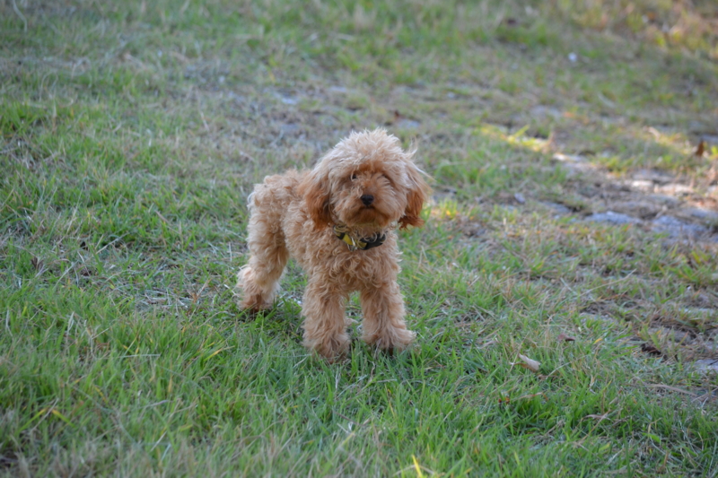 f:id:reeyan:20121022073900j:image f:id:reeyan:20121022073900j:image