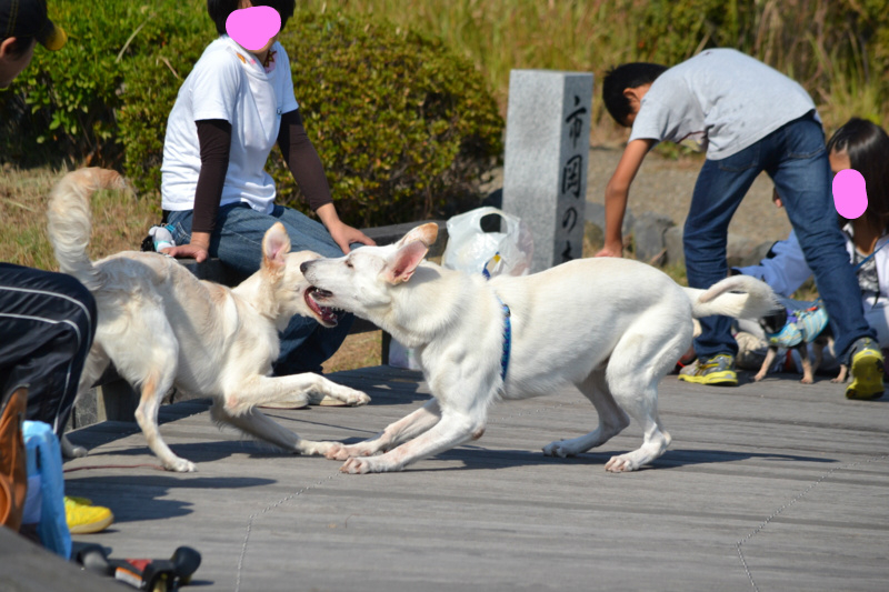 f:id:reeyan:20121022074452j:image f:id:reeyan:20121022074452j:image