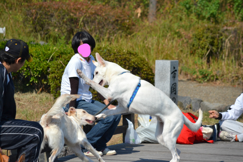 f:id:reeyan:20121022074605j:image f:id:reeyan:20121022074605j:image