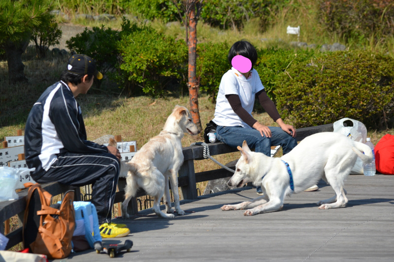 f:id:reeyan:20121022074659j:image f:id:reeyan:20121022074659j:image