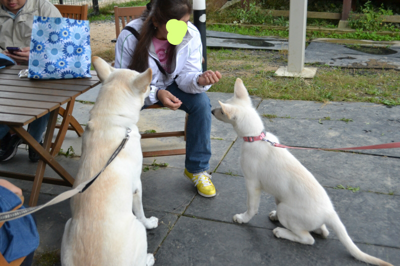 f:id:reeyan:20121028194659j:image f:id:reeyan:20121028194659j:image