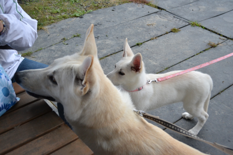 f:id:reeyan:20121028194717j:image f:id:reeyan:20121028194717j:image