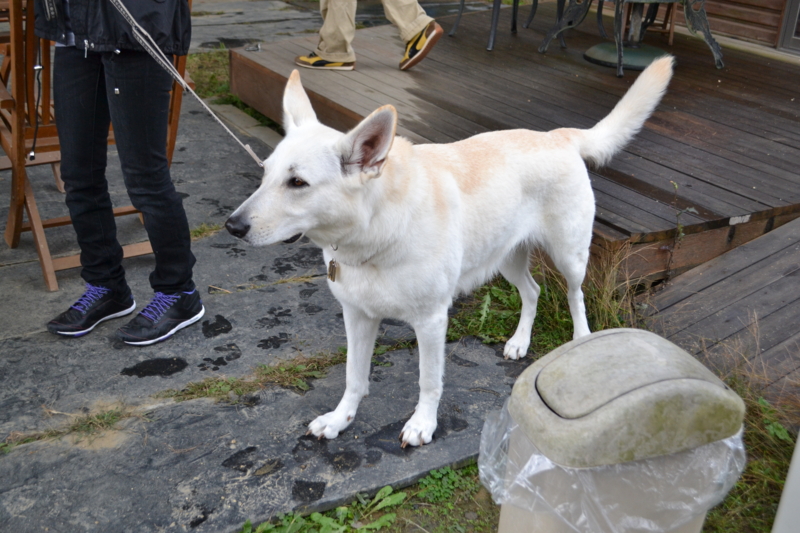 f:id:reeyan:20121028194913j:image f:id:reeyan:20121028194913j:image