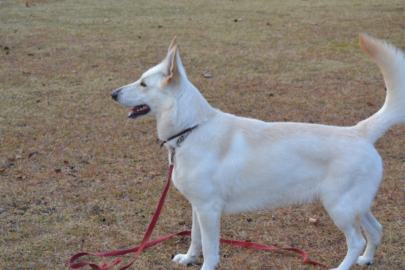 f:id:reeyan:20121123192617j:image f:id:reeyan:20121123192617j:image