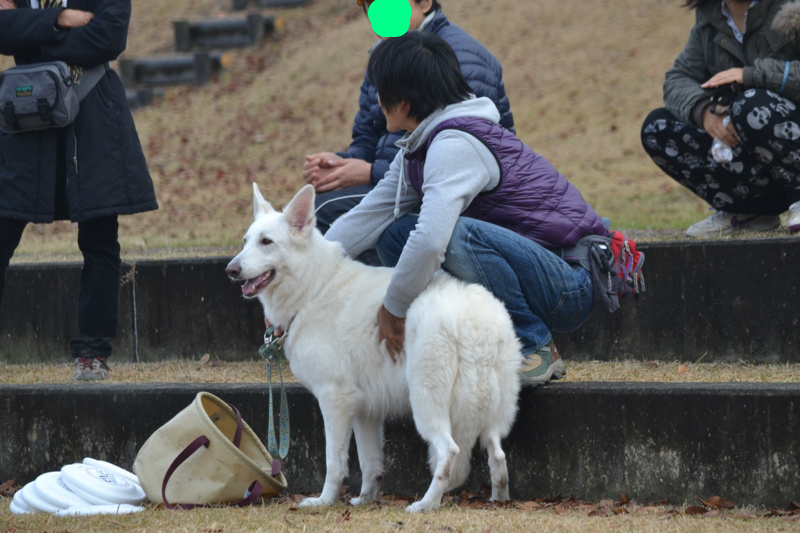 f:id:reeyan:20121123192713j:image f:id:reeyan:20121123192713j:image