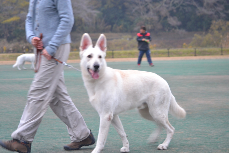 f:id:reeyan:20121123193558j:image f:id:reeyan:20121123193558j:image