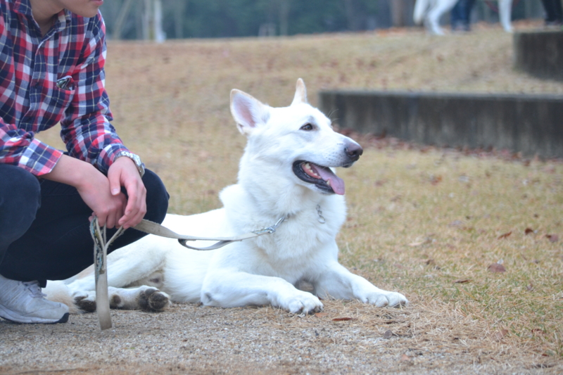 f:id:reeyan:20121123193731j:image f:id:reeyan:20121123193731j:image