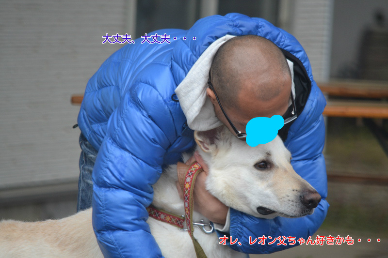 f:id:reeyan:20121123194011j:image f:id:reeyan:20121123194011j:image
