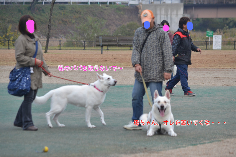 f:id:reeyan:20121123194403j:image f:id:reeyan:20121123194403j:image
